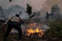 Langkah Jikalahari Kritisi Pemerintah Disorot Eks Petinggi